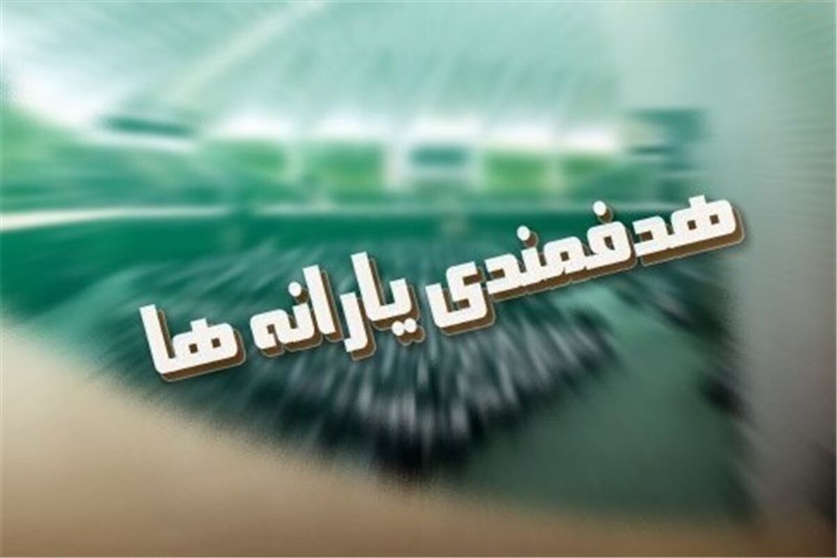 سازمان هدفمندی یارانه ها