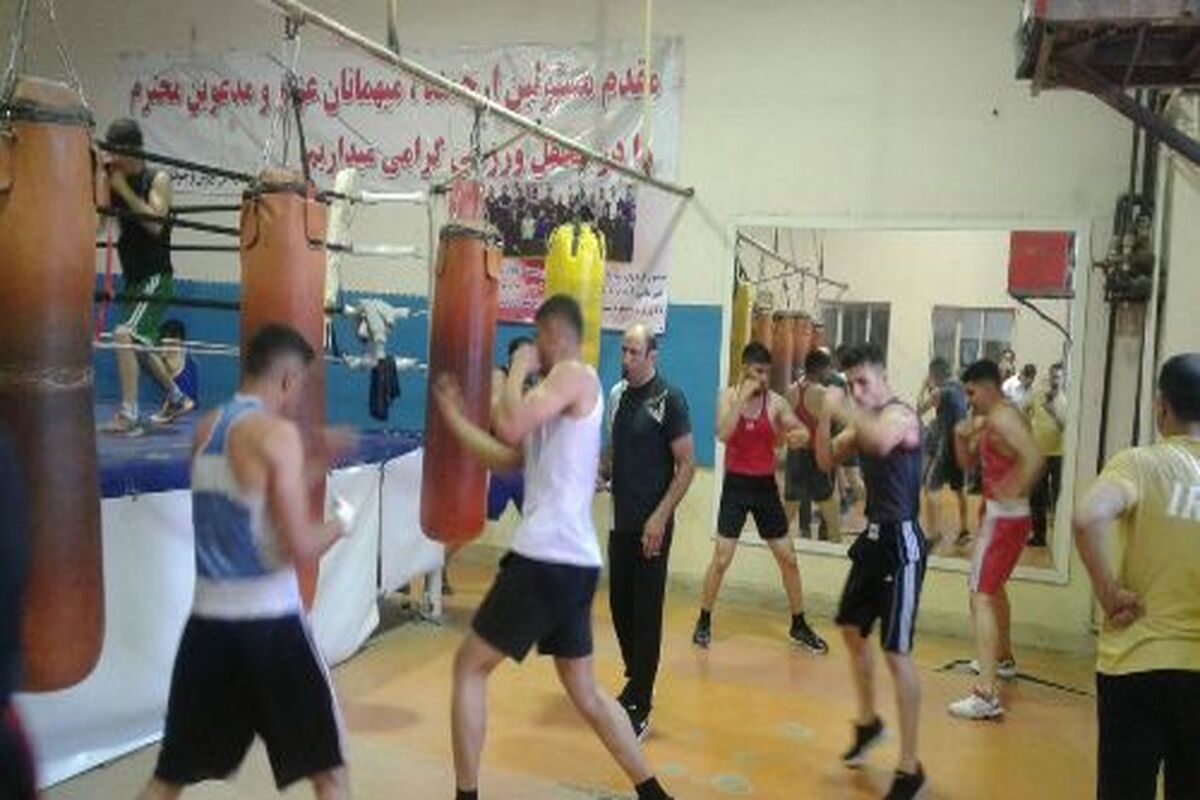 بوکس