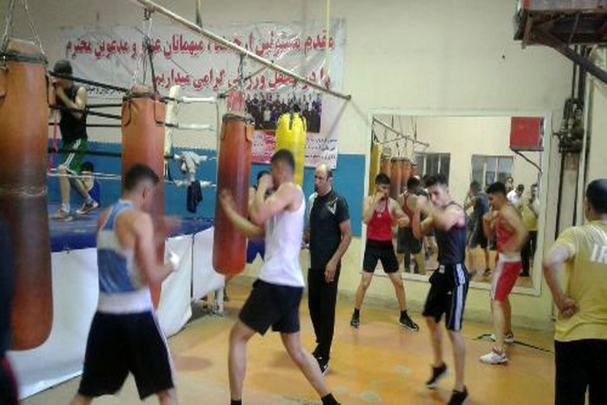 بوکس
