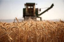 هیچ بهانه ای برای تاخیر در پرداخت پول گندم کشاورزان قابل قبول نخواهد بود