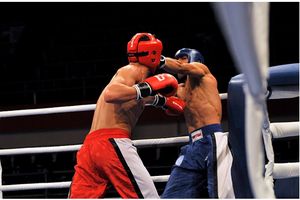 فعالیت ورزش کیک بوکسینگ در سه فدراسیون مختلف در ایران