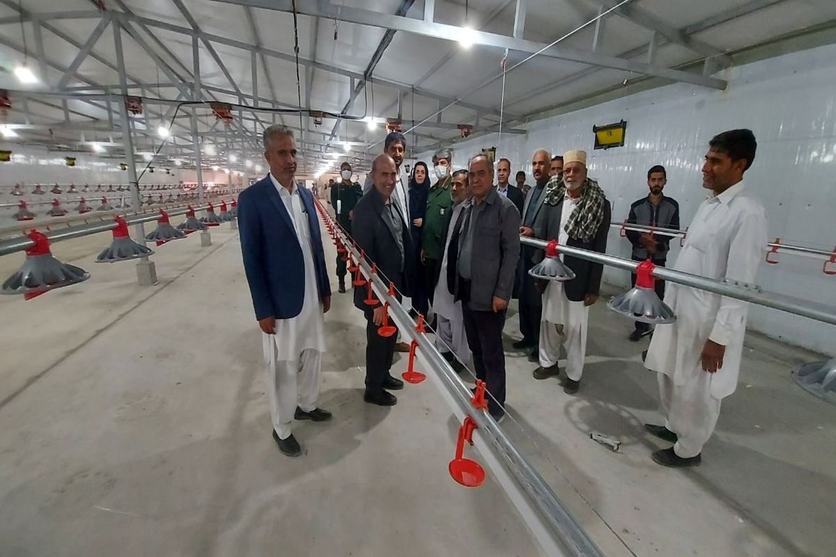 افتتاح پروژه