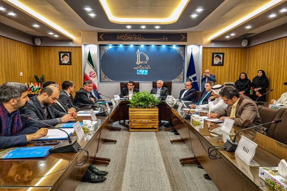 دانشگاه