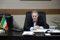 ارائه تسهیلات به مجریان طرح زراعت چوب انجام می‌شود