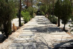 ثبت ۲۴۳ متوفی در دهم بهمن سال ۹۶، رکورد بهشت زهرا را شکست