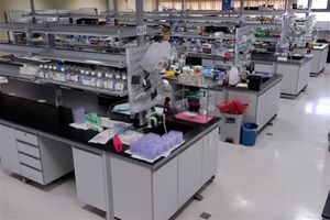 ۶۵ هزار نمونه در بانک خون بند ناف پژوهشگاه رویان وجود دارد