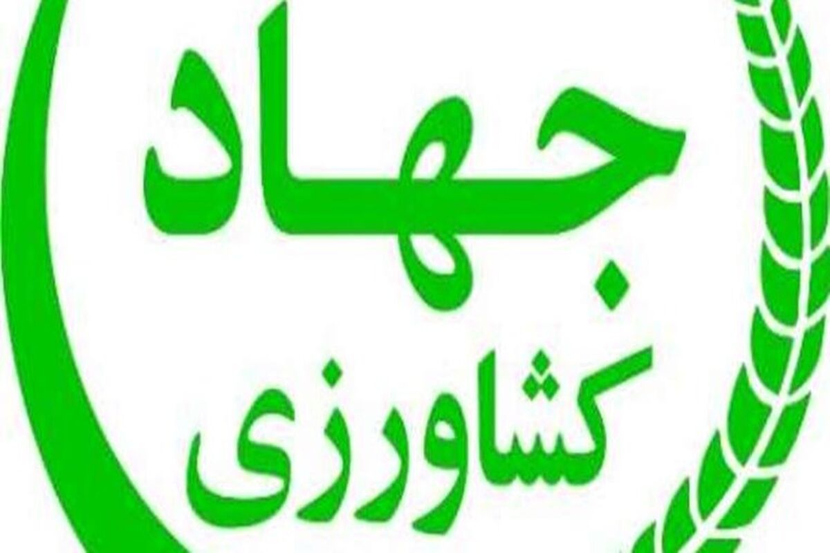 جهاد