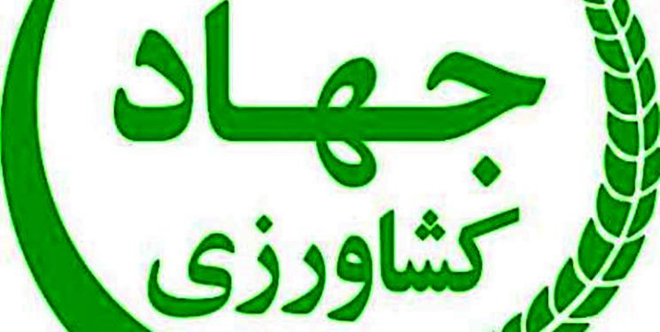 خسارت به بخش کشاورزی همدان به مبلغ 143 هزار و 580 میلیون ریال رسیده است