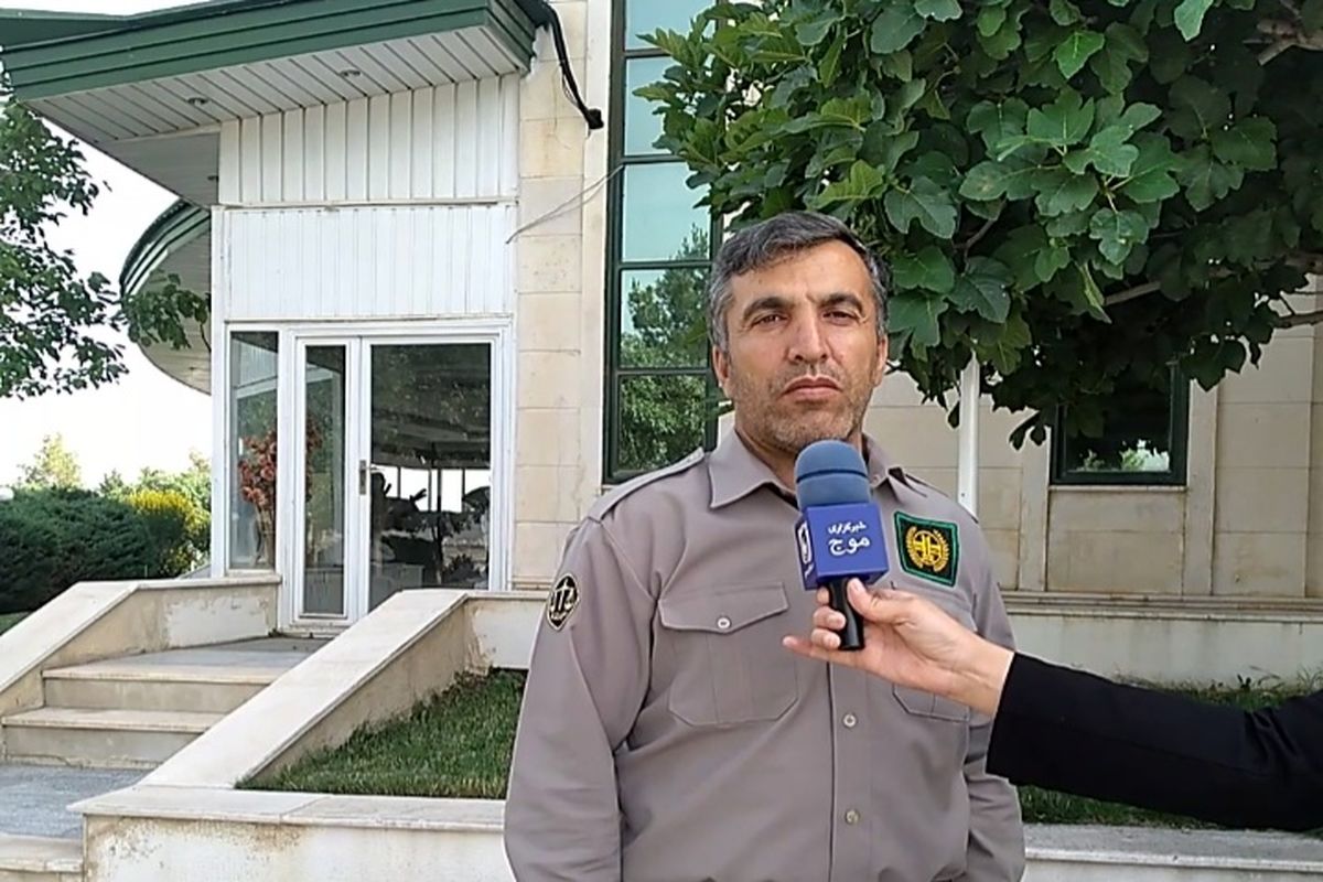 محمدی