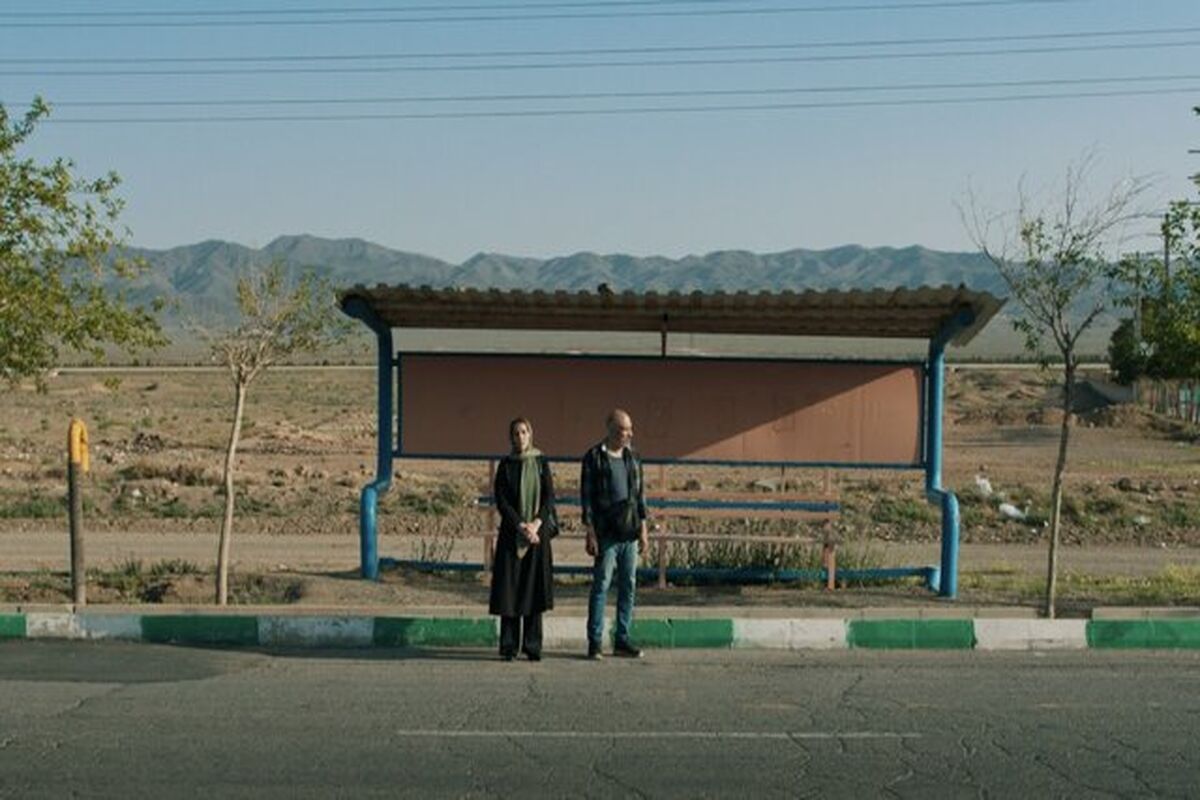 فیلم کوتاه تاجی