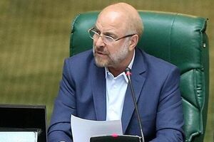 دولت و بانک مرکزی به پیشنهادات مجلس برای حل مشکلات توزیع نهاده های دامی توجه کنند