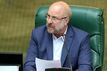 دولت و بانک مرکزی به پیشنهادات مجلس برای حل مشکلات توزیع نهاده های دامی توجه کنند