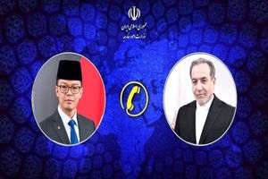 گفت و گوی تلفنی وزیر امور خارجه با وزیر خارجه اندونزی