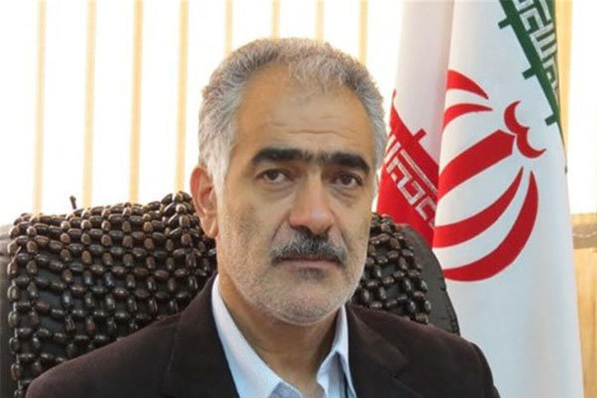 رضا گل محمدی