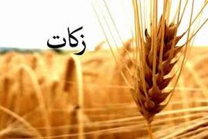 ۶۵ میلیارد تومان زکات در کردستان جمع آوری شد
