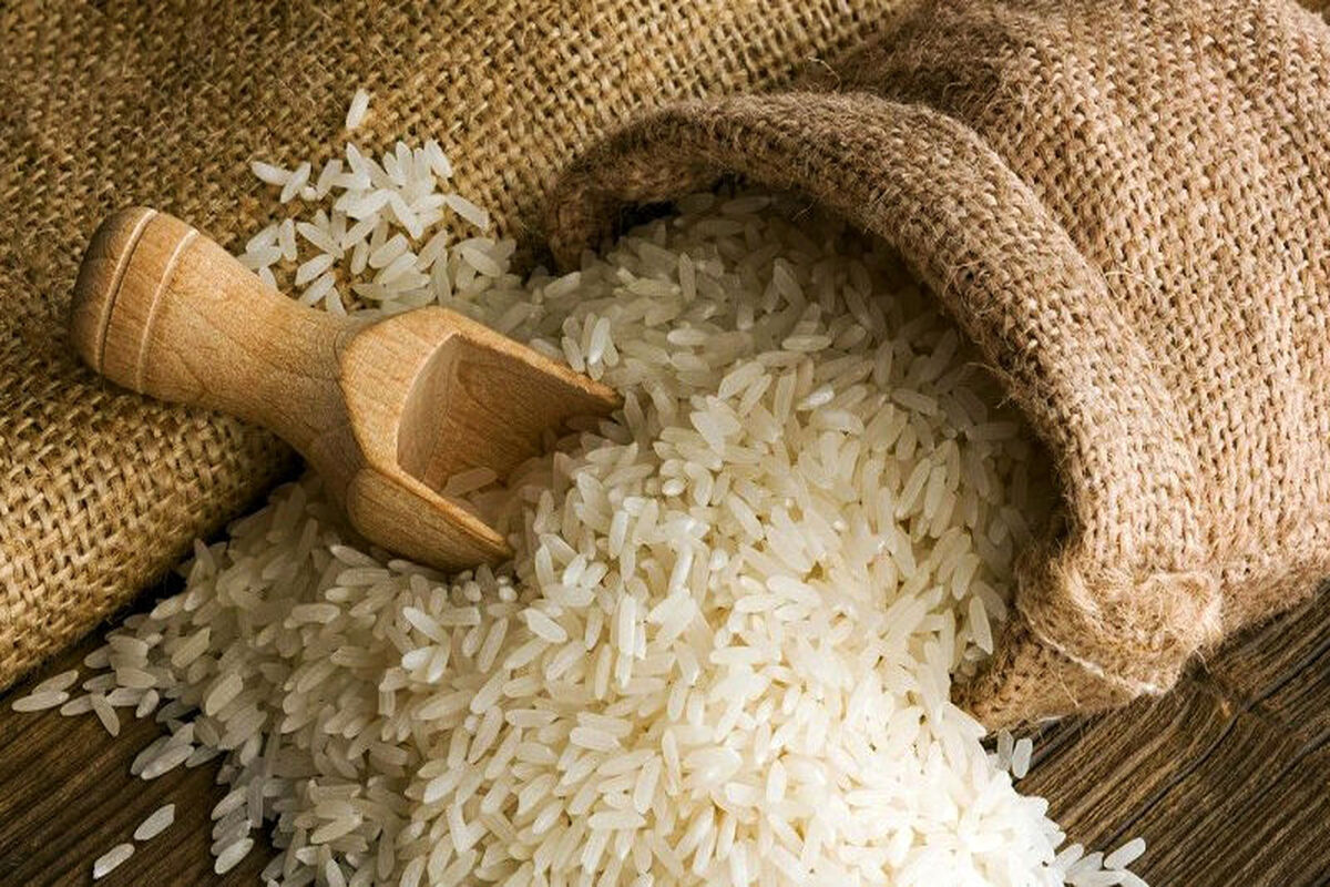 واردات برنج