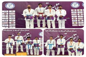 یک نشان طلا و دو برنز رهاورد کاراته کاهای استان فارس