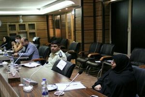 تشکیل جلسه کمیته کنترل حیوانات ناقل بیماری به انسان در فرمانداری یزد