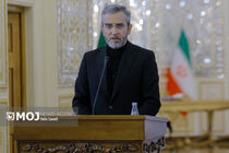 Iran's Bagheri Kani met Iraqi President