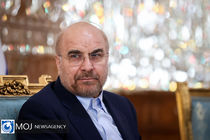 هیچ نماینده مجلسی مصونیت قانونی ندارد و در صوت تخلف راهی دادگاه می‌شود