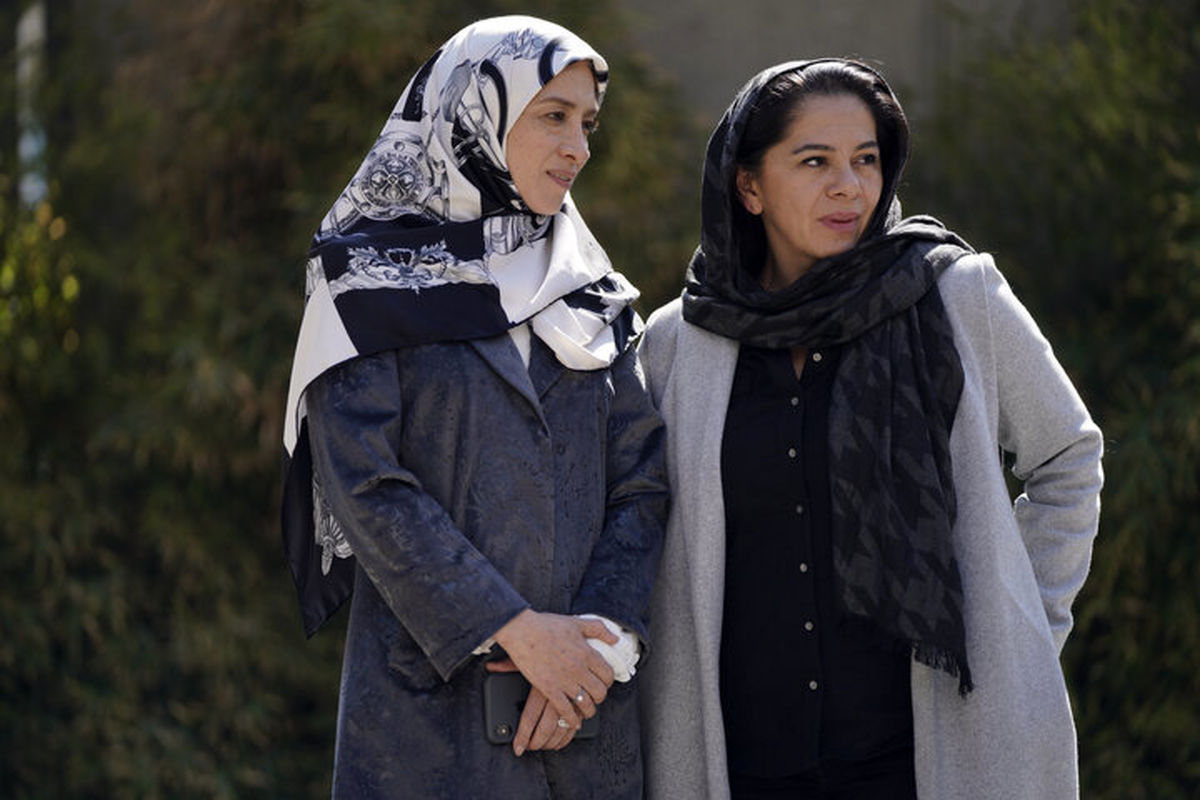 فیلم جوجه تیغی مستانه مهاجر