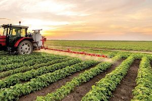 بهره‌گیری از ظرفیت تعاونی‌های کشاورزی، راهکار تحقق شعار سال است