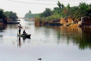  سیاست کشاورزی پایدار استفاده زنجیروار از زهاب ها است/اجرای طرح پرورش ماهی با زهاب نیشکر برای اولین بار در ایران 