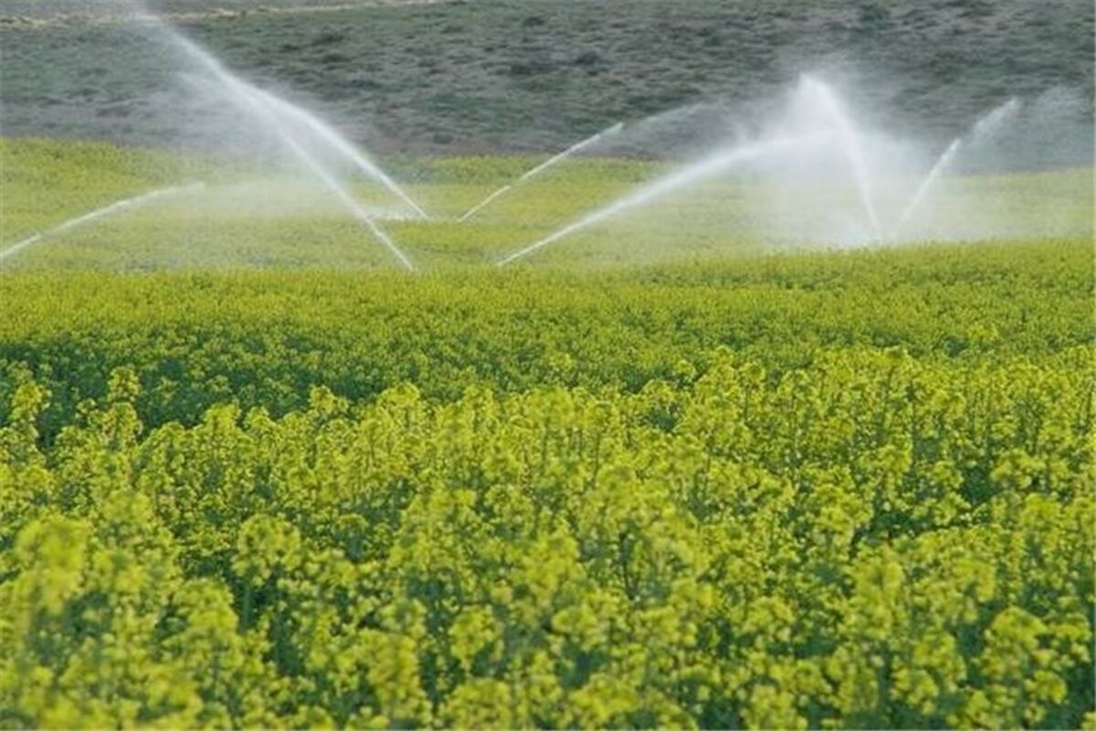 آبیاری کم فشار