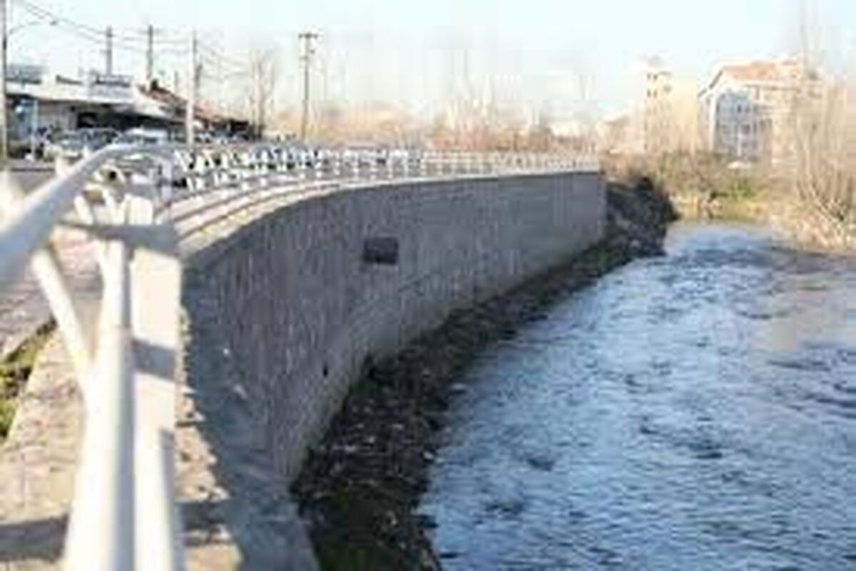 دیوار حفاظتی