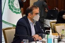 صنایع دستی می تواند به پویایی اقتصاد شهری کمک فراوانی داشته باشد