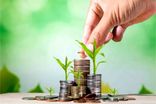 ارائه تسهیلات سرمایه در گردش با «کیف پول» اعتباری ویژه