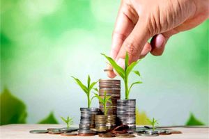 ارائه تسهیلات سرمایه در گردش با «کیف پول» اعتباری ویژه