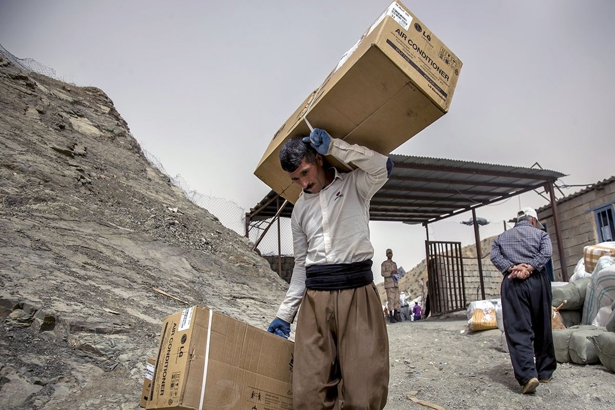 فعالیت کوله بران