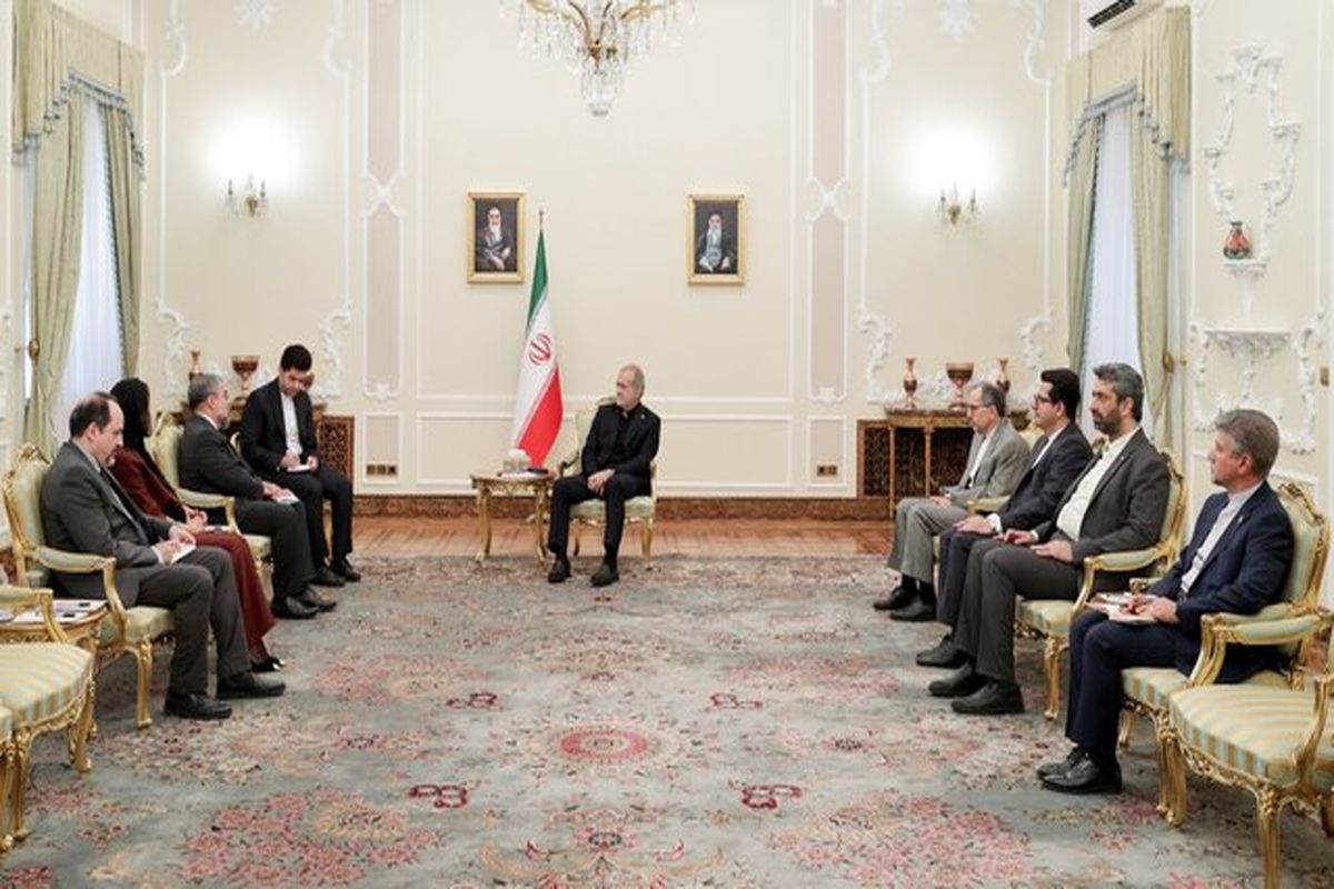 رئیس جمهور در آیین دریافت استوارنامه سفیر جدید برزیل