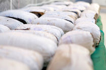 کشف 350 کیلو تریاک از سوداگران مرگ در یزد