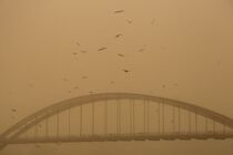 هوا در اهواز خطرناک اعلام شد