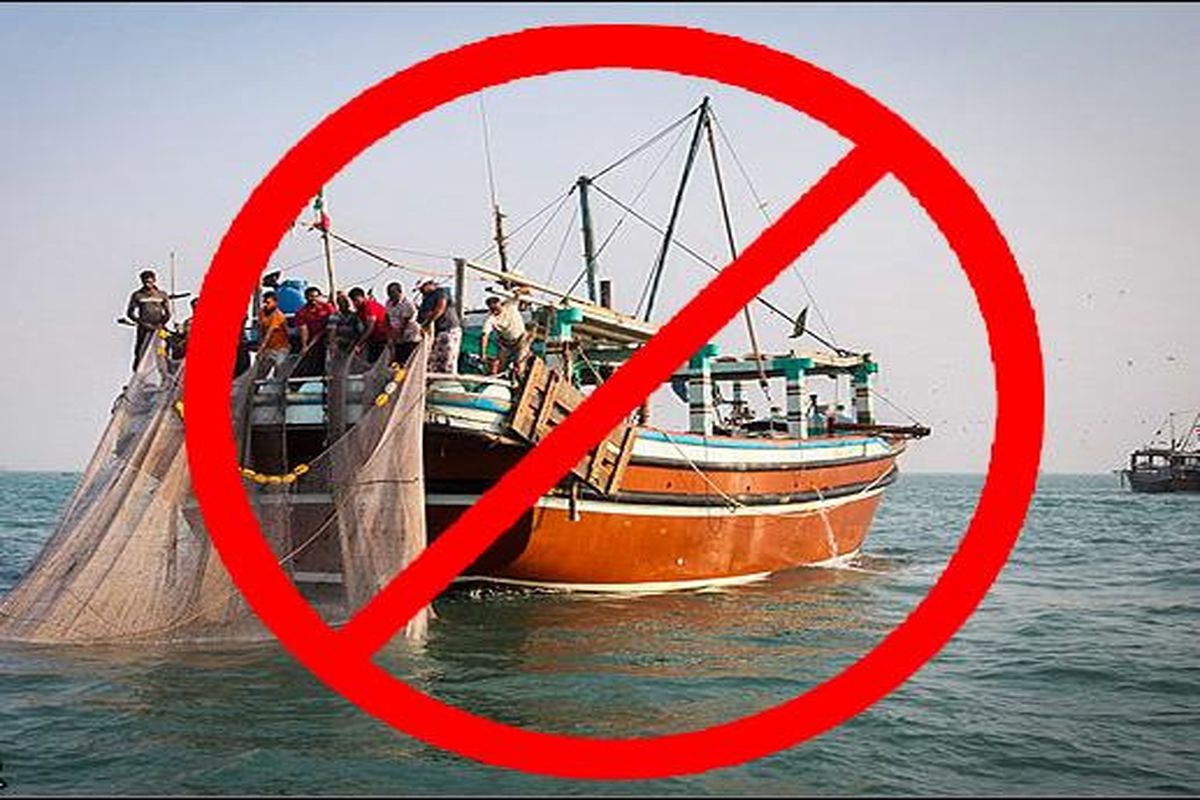 ممنوعيت صيد