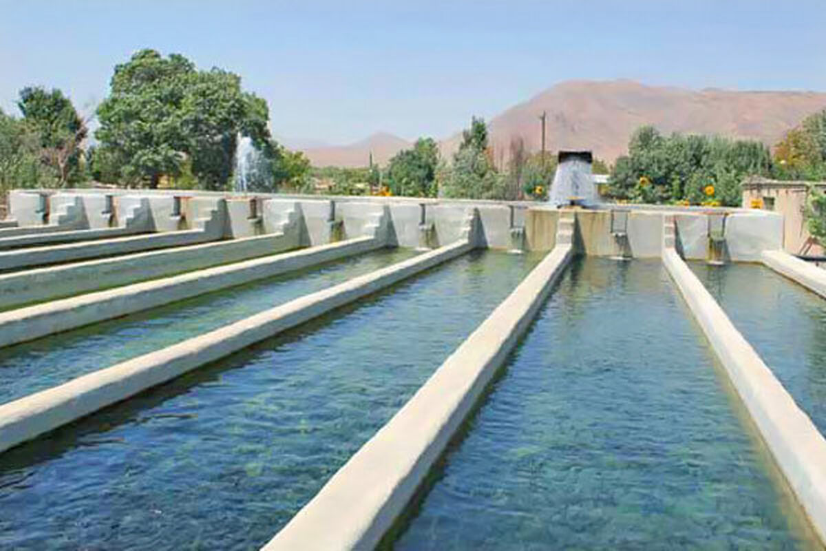 شیلات