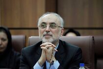 مدیرکل موقت آژانس با علی اکبر صالحی دیدار کرد
