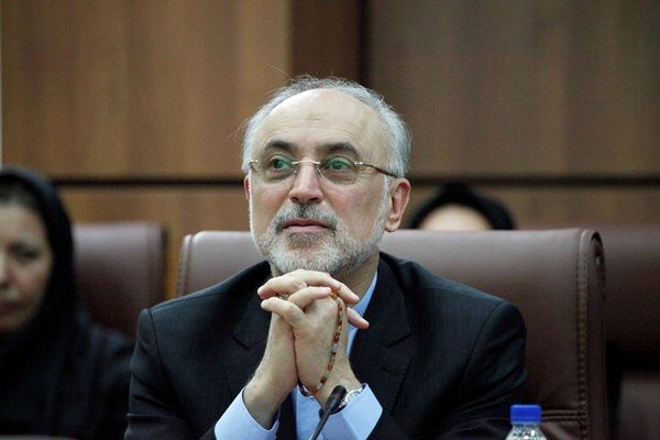 رئیس سازمان انرژی اتمی به «چرخ» میرود