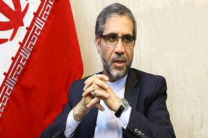 امیرعبداللهیان دیپلمات حرفه ای و شناخته شده در سطح منطقه و دنیا است