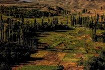 استان فارس صاحب نخستین ژئوپارک ملی می شود