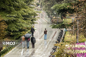 سازمان هواشناسی خبر از بارش پراکنده در ۵ استان داد