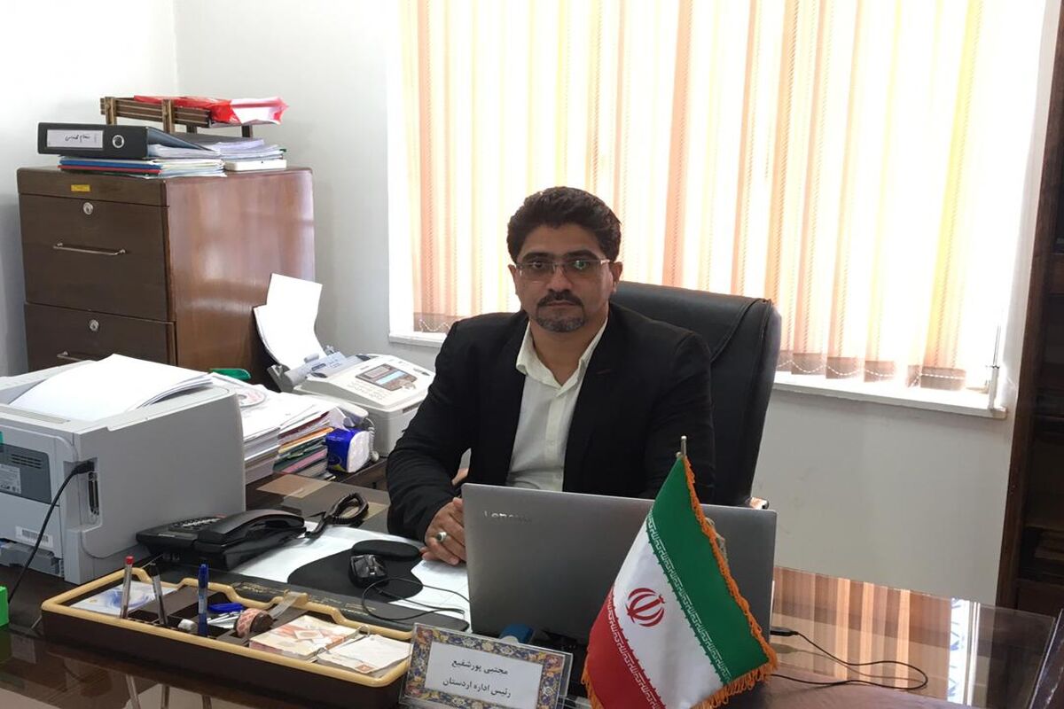 مجتبی پورشفیع