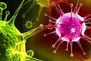 تاخت و تاز کرونا در بندرعباس 