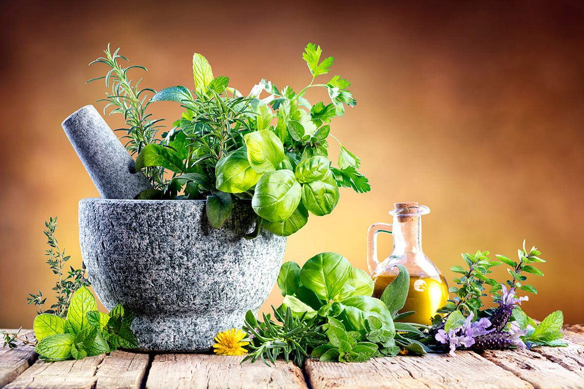 توسعه اقتصادی  گیاهان دارویی