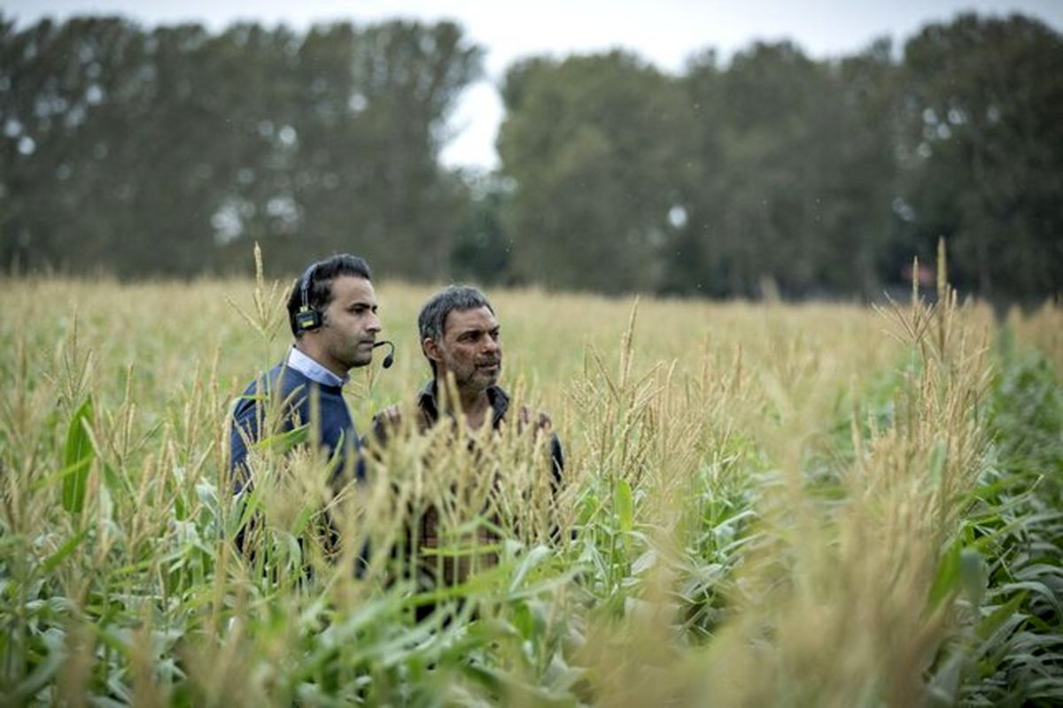فیلم سینمایی