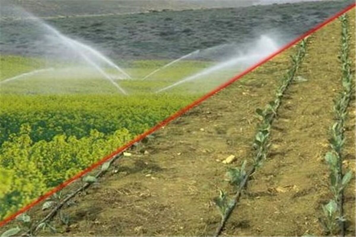آبیاری نوین در مزارع و باغات گلستان