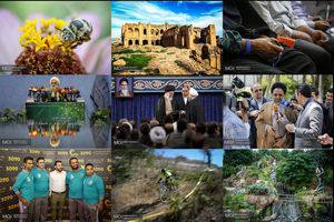 عکس منتخب هفته دوم مرداد 96