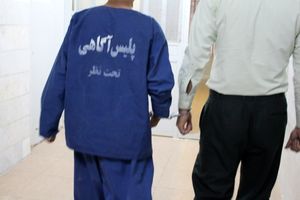 متهم سابقه دار با 24 فقره سرقت دستگیر شد